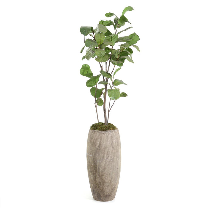 Tall 93” Fiddle Leaf Fig Tree