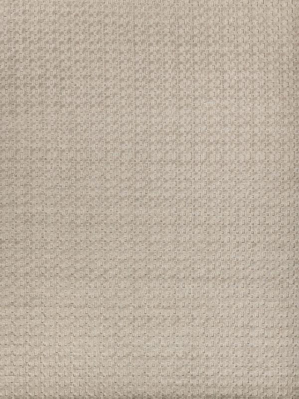 Park Light Taupe Hand Loomed Area Rug - Elegance Collection