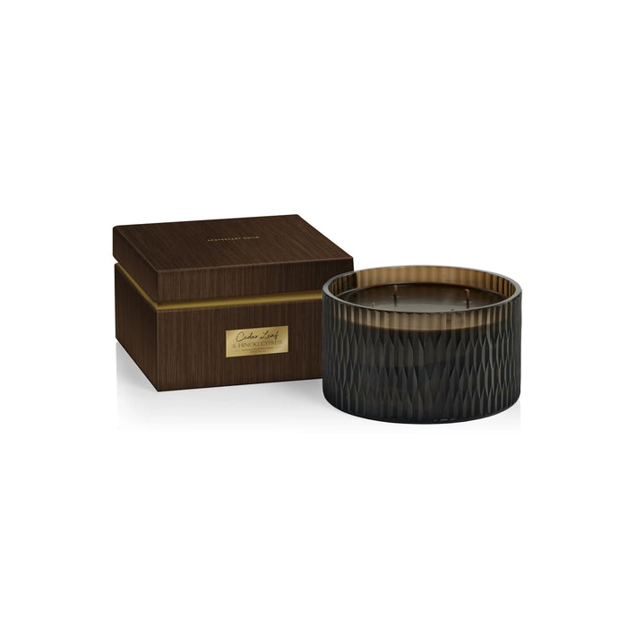 Apothecary Guild Cedar Leaf & Hinoki Cypress Scented Candle - 4 Wick (Set of 4)