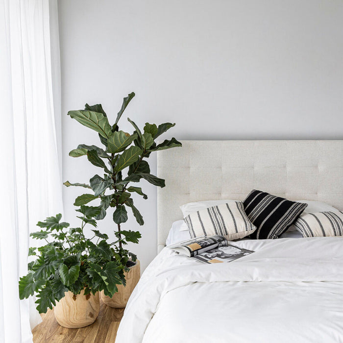 Evita Cream Fabric Bed