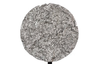 Cosmic Medium Silver Leaf Cast Root Disk With Stand