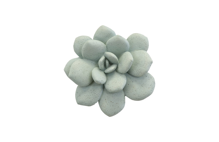 Blossom Sage Wall Art