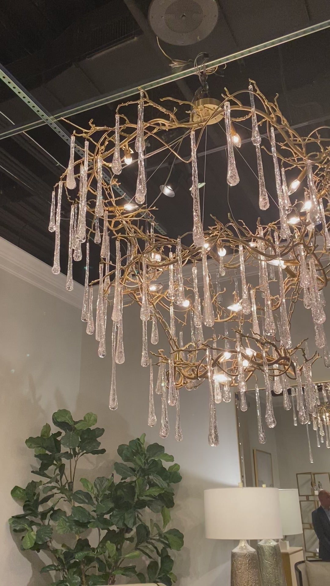 Ashby Branched Crystal Twenty-Light Chandelier - Luxury Living 