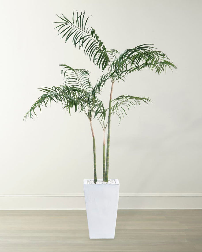 Qiana White Palms in Pot - Luxury Living Collection