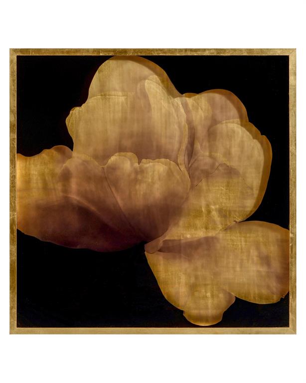 Fern Shadow Box Artwork - Luxury Living Collection