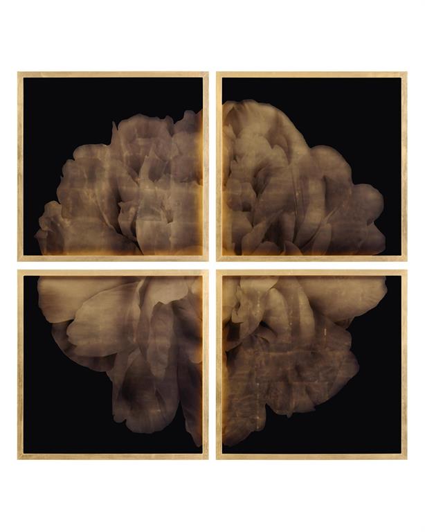 Fern Prints I (Set of 4 Pieces) - Luxury Living Collection
