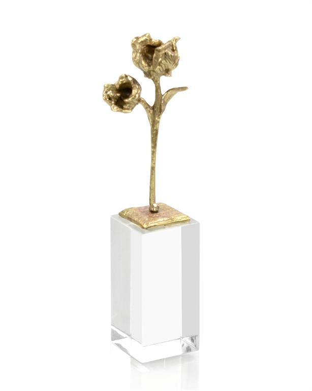 Evie Rose is a Rose - Luxury Living Collection