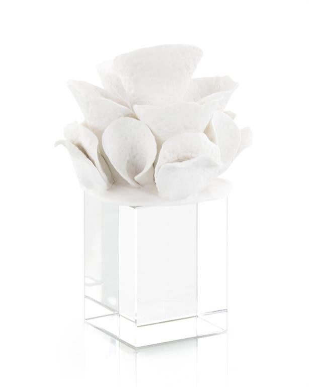 Zalika Ceramic Coral Reef Sculptures - Luxury Living Collection