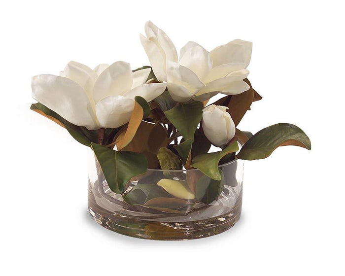 Lotta Magnolia Grandiflora in Vase - Luxury Living Collection
