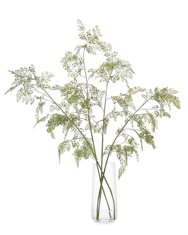 Ellasandra Aqua Fern in Vase - Luxury Living Collection