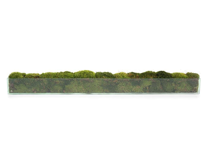 Elaena Moss Mounds in Vase - Luxury Living Collection