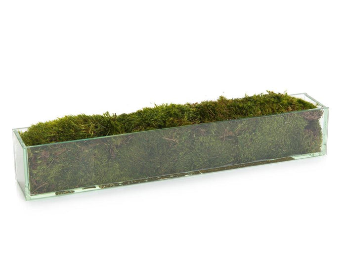 Granetta Moss Mound in Pot - Luxury Living Collection