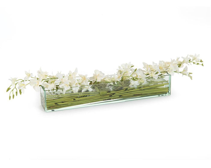 Hadiya Orchid Simplicity in Glass Cube - Luxury Living Collection