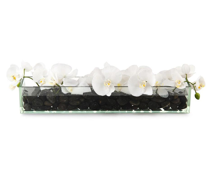 Liliette Domino in Container - Luxury Living Collection