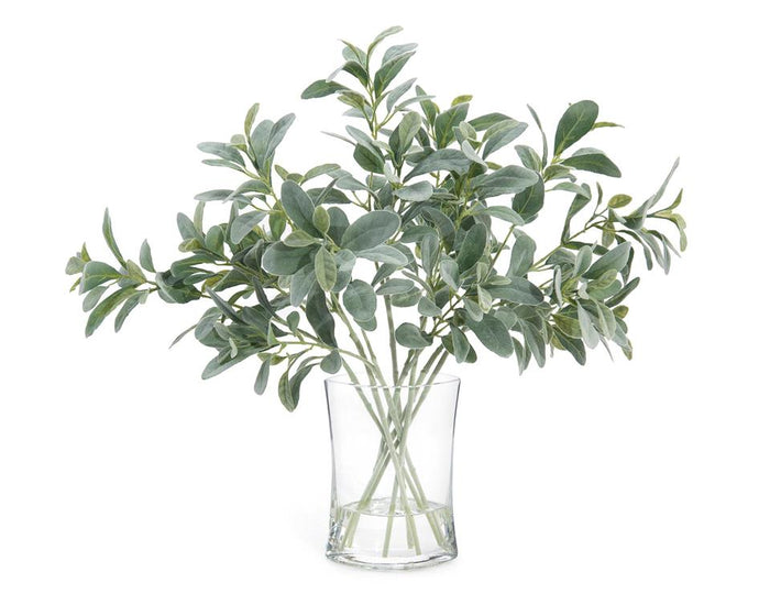 Vesta Lamb's Ears in Vase - Luxury Living Collection