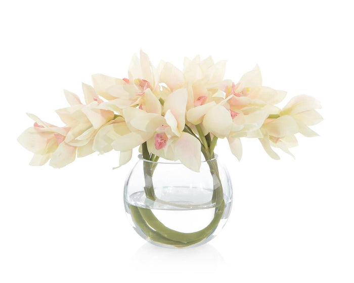 Sabira Cymbidium Twist in Bowl - Luxury Living Collection