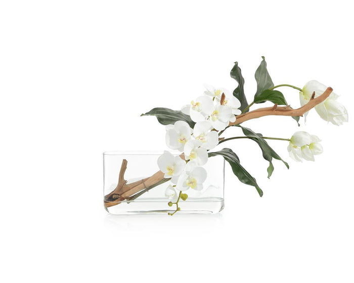 Zaniah Beautiful Medinilla in Vase - Luxury Living Collection