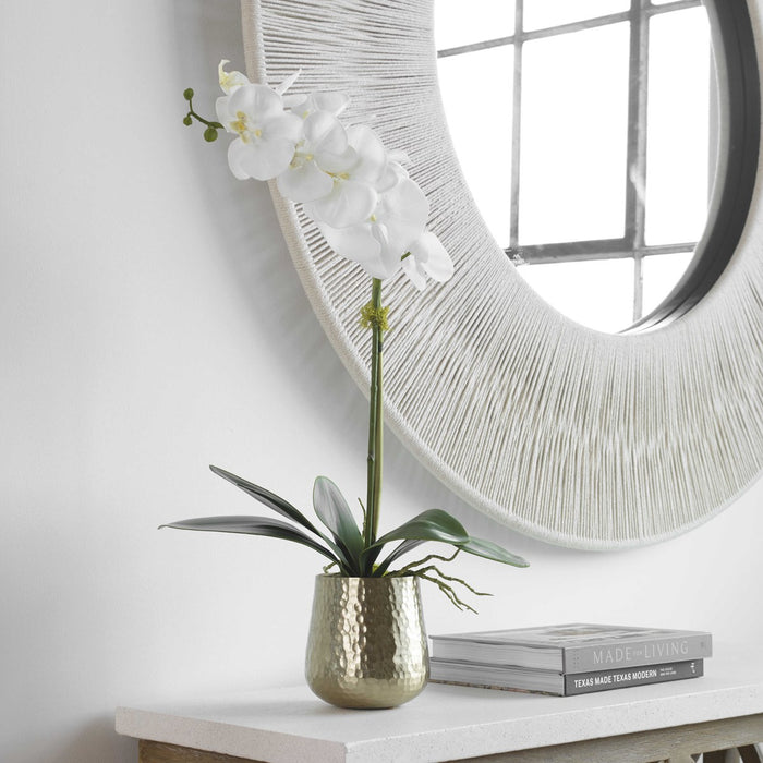 Ronalda Orchid in Brass Pot
