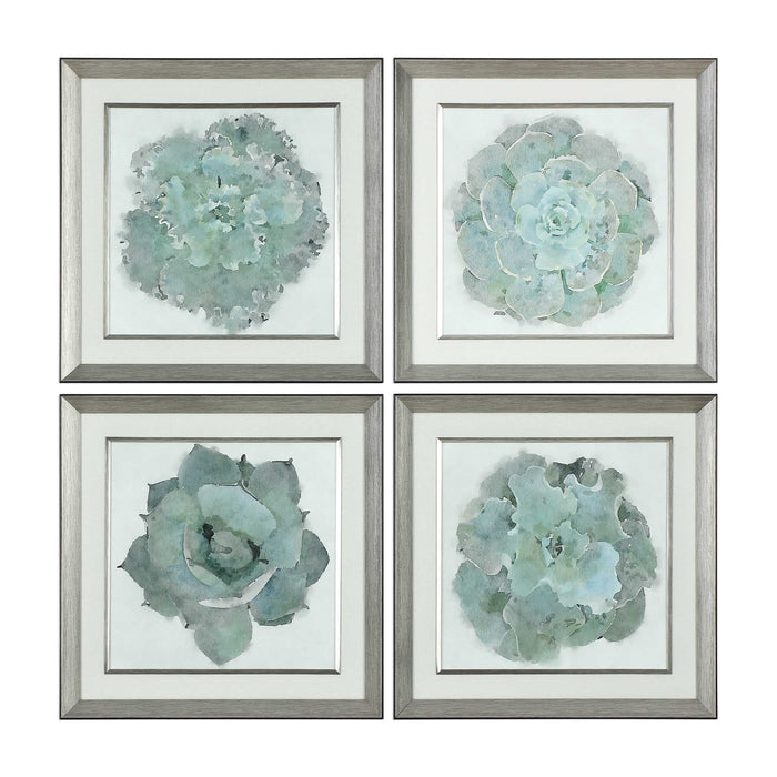 Samson Framed Prints, Set of 4