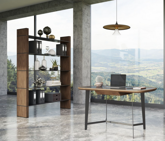 Calla Modern Walnut Veneer Bookshelf