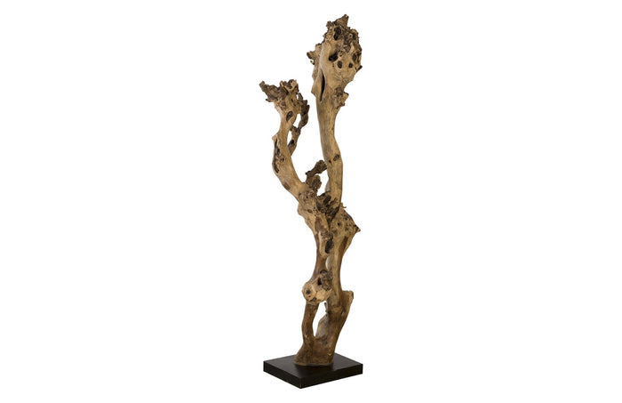 Sonokeling Tree Floor Sculpture