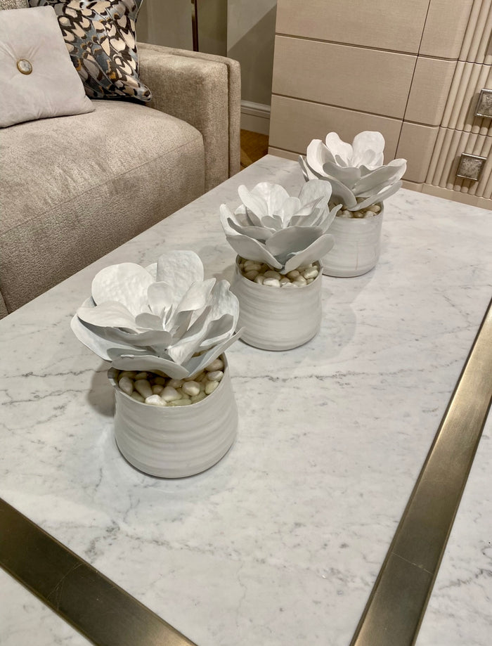 Lumina White Succulents in Pot - Luxury Living Collection