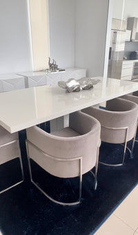 Jules Grey Velvet With Silver Frame Chair - Luxury Living Collection