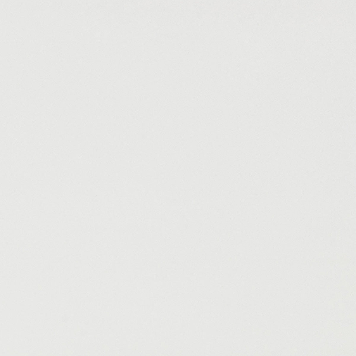 Ameline White Rattan Console/Desk