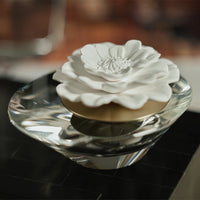 Dream Fig Vetiver Fragrance Porcelain & Crystal Diffuser (Sets of 2 & 4) - 2 Sizes Available