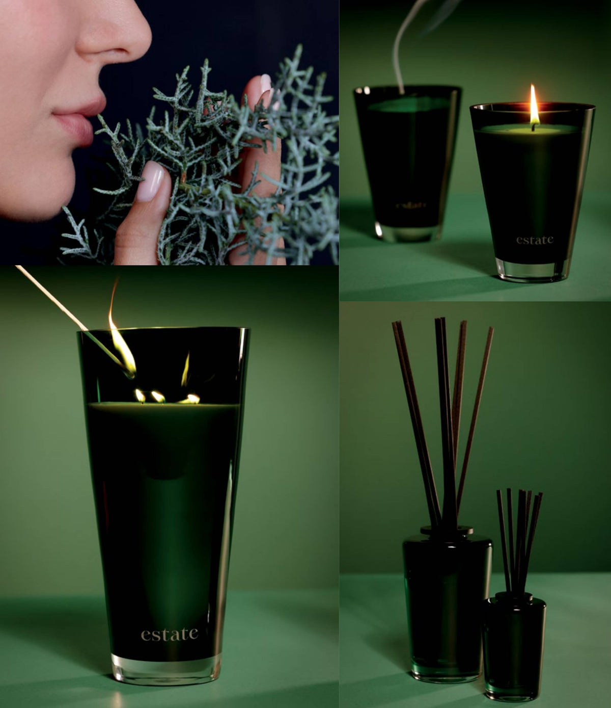 Estate Extra Large Candle - 288 oz Green/Cypress (Set 0f 2)
