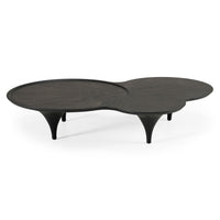 Tisha 64" Modern Free Form Black Ash Coffee Table