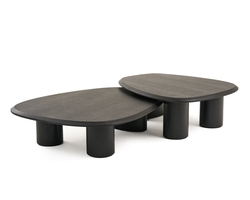 Goldie Modern Ash Coffee Table Set