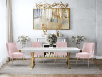Prado Blush Velvet With Gold Frame Chair - Luxury Living Collection