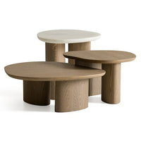 Olin Modern 3-Piece Buckwheat + Onyx Nesting Coffee Table Set