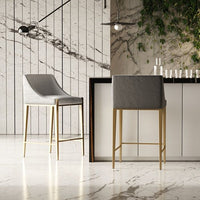 Aarya Grey & Brass Counter Stool