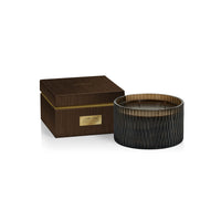 Apothecary Guild Cedar Leaf & Hinoki Cypress Scented Candle - 4 Wick (Set of 4)