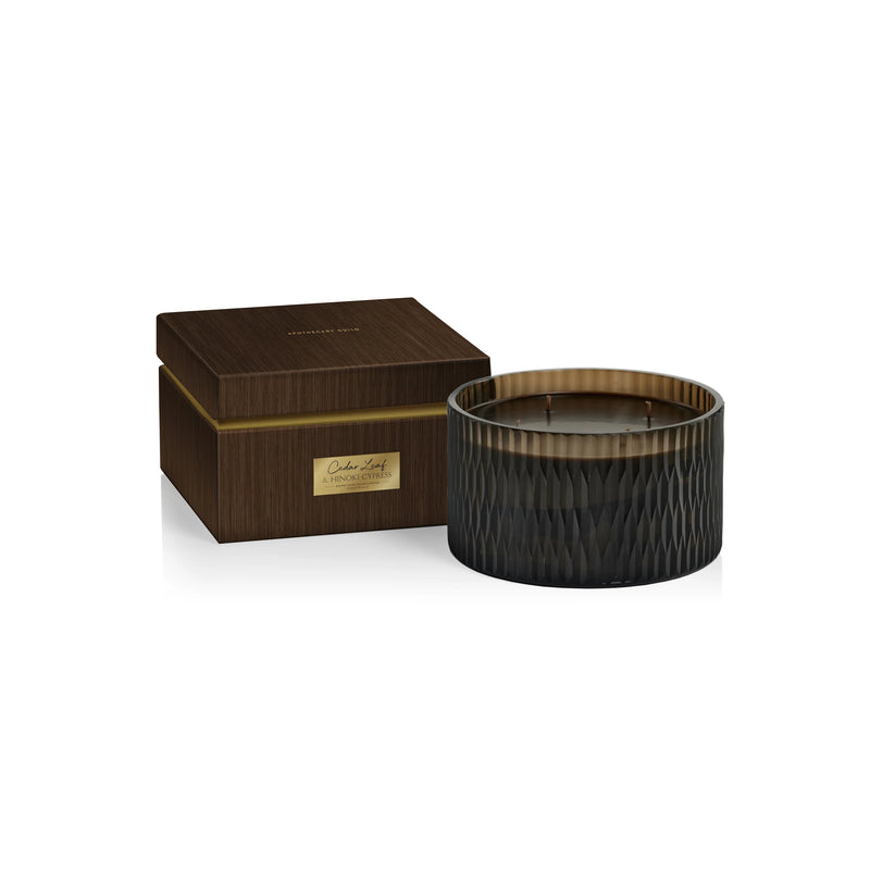 Apothecary Guild Cedar Leaf & Hinoki Cypress Scented Candle - 4 Wick (Set of 4)