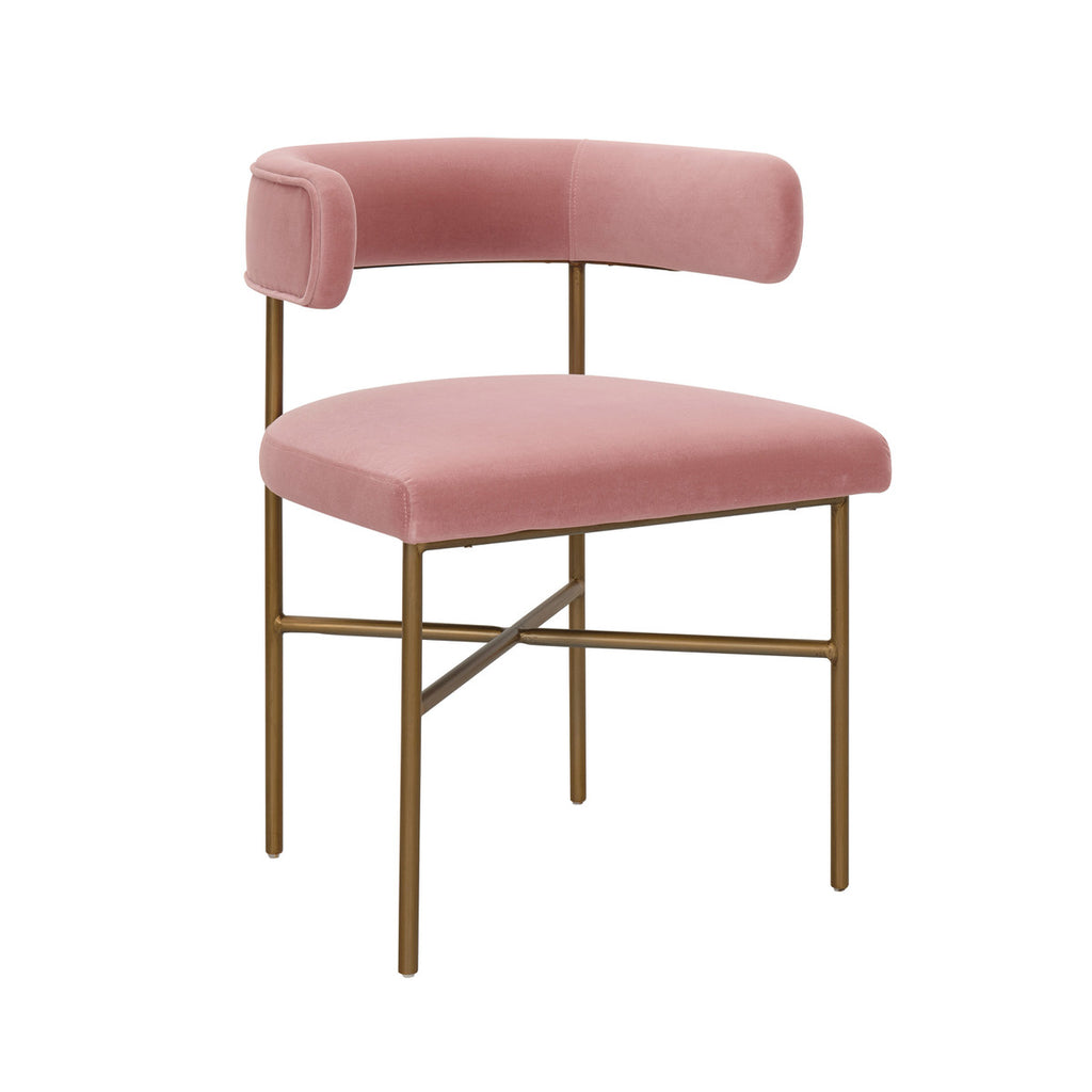 Kim Performance Blush Velvet With Gold Frame Chair - Luxury Living Collection