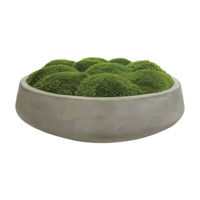 Arlow Moss With Light Grey Planter