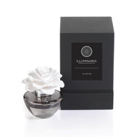 Illuminaria Fig Vetiver Scented Porcelain Diffuser in Gray Bottle (Set of 4)