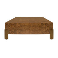 Harriet Dark Burl Wood & Brass Square Coffee Table