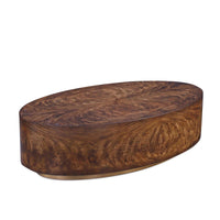 Kate 59.5" Modern Brown & Gold Coffee Table