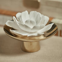 Apothecary Inspire Love Moroccan Peony Fragrance Porcelain Diffuser (Set of 4)