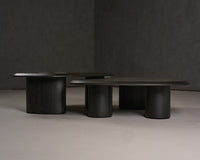 Goldie Modern Ash Coffee Table Set