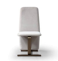 Shale Modern Light Beige Grey Velvet + Brushed Brass Dining Chair (Set of 2)