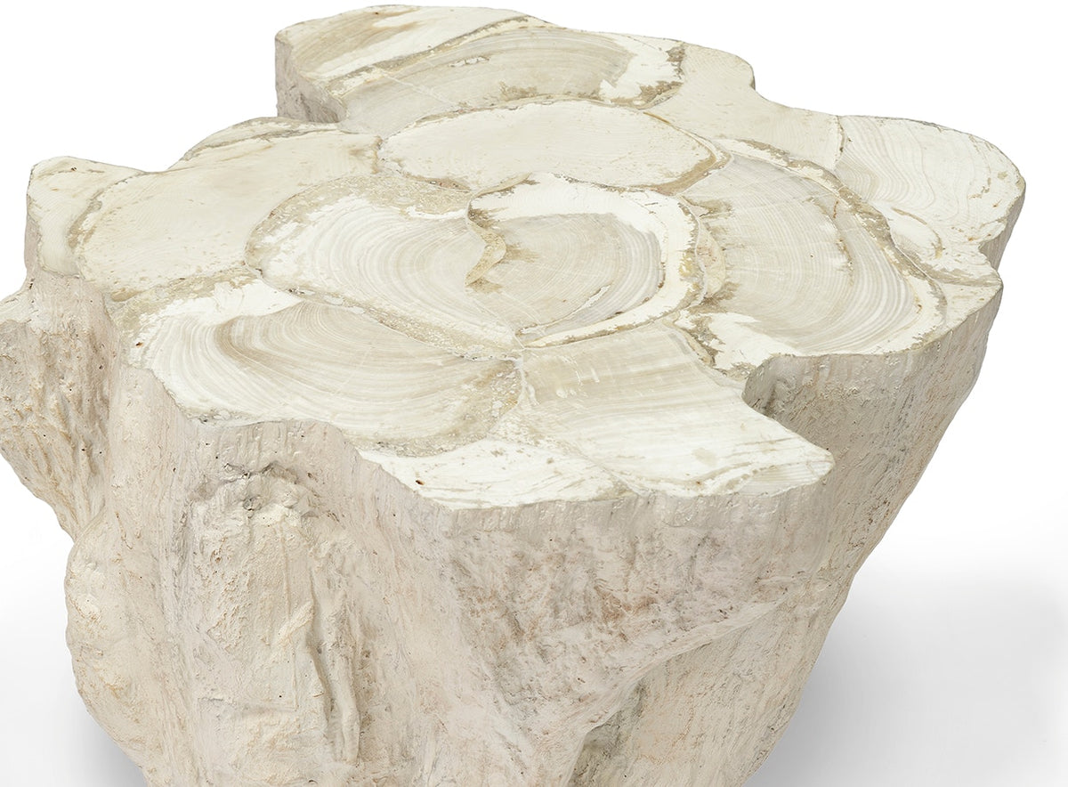 Camilla Fossilized Clam Accent Table