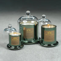Apothecary Siberian Fir Scented Green Candle with Glass Dome - Set 0f 4 (2 Sizes Available)