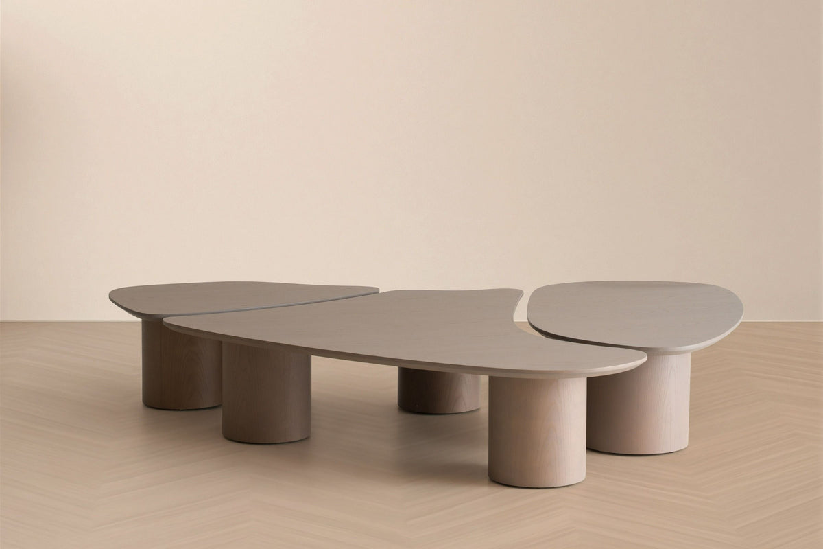 Solene Modern Nesting Coffee Table Set