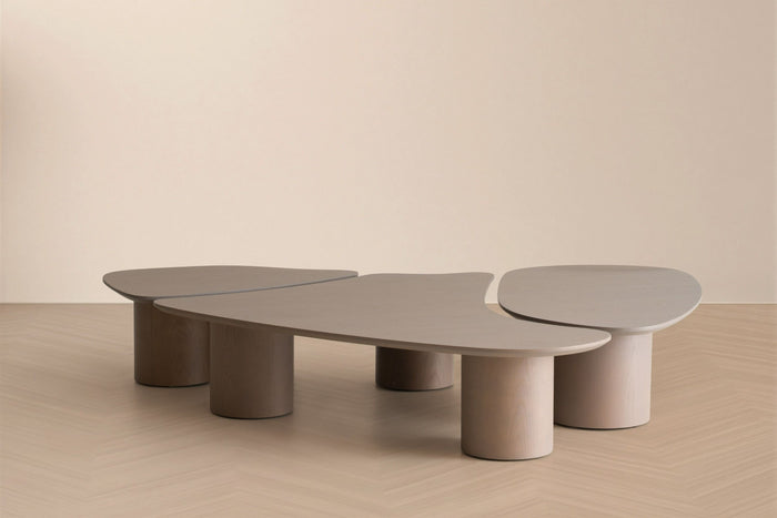 Solene Modern Nesting Coffee Table Set