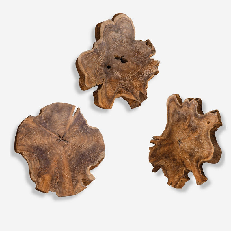 Honey Teak Wood Wall Art (Set of 3)